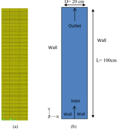 Figure 1.   (a)                      (b) 