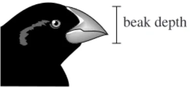 Figure 2 Study 2