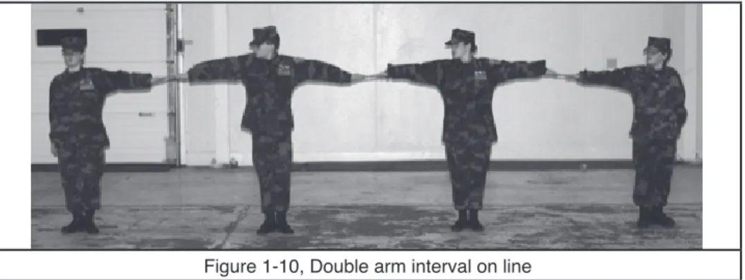 Figure 1-10, Double arm interval on line