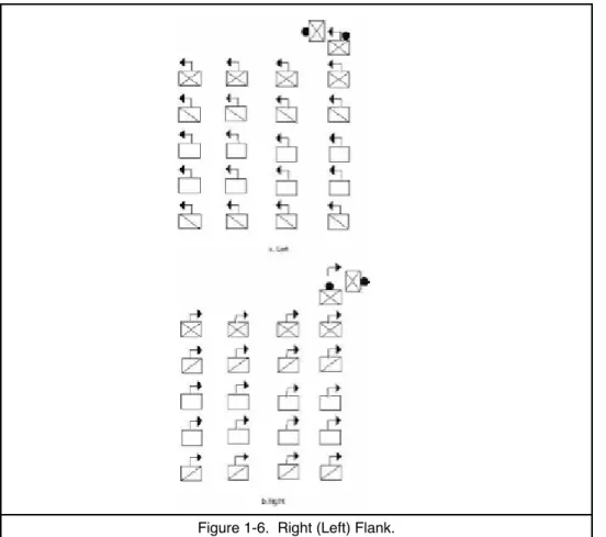 Figure 1-6.  Right (Left) Flank.