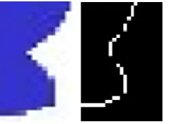 Fig. 2:  Detected edge region for a given symbol  