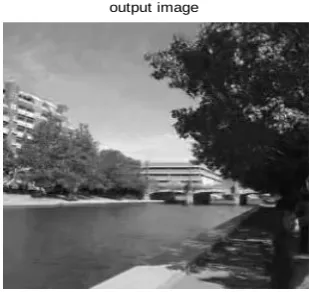 Fig 4 Gradient histogram input image 