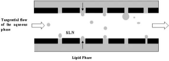 Figure 9: Membrane contactor technique.  