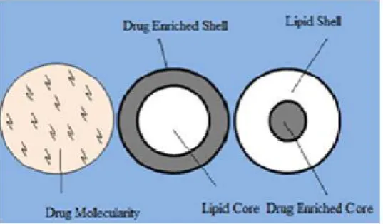 Figure 10: Drug Incorporation Techniques 