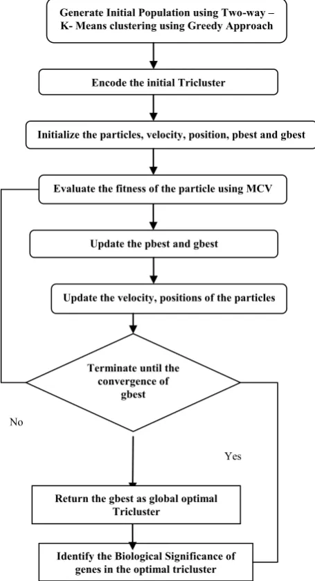 Fig 3. An overview of Hybrid PSO based Triclustering 