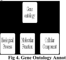 Fig 4. Gene Ontology Annotation 