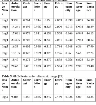 Table 2: GLCM features for eight different images  