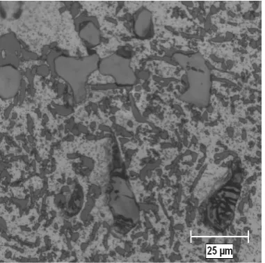 Fig-3: Microstructure of chilled Base metal with3% SiC 