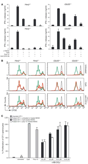 Figure TLR-L–treated MDSCs derived from Hexβ–/– mice fail to stimulate iNKT cells. (A) iNKT cells derived from WT mice fail to produce IFN-γ when incubated with TLR-L–matured MDSCs derived from Hexβ–/– mice