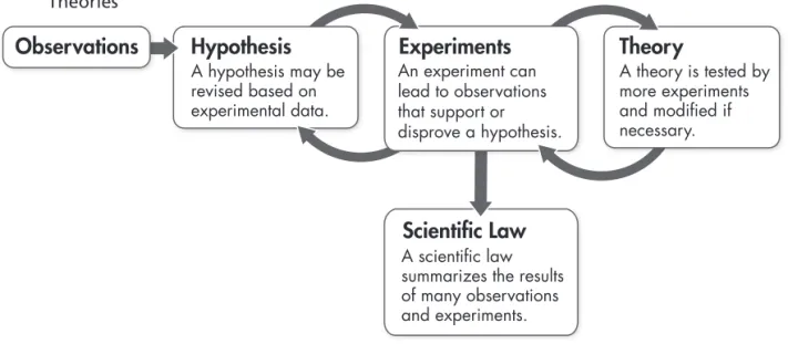 Figure 1  Role of Hypotheses and  Theories 