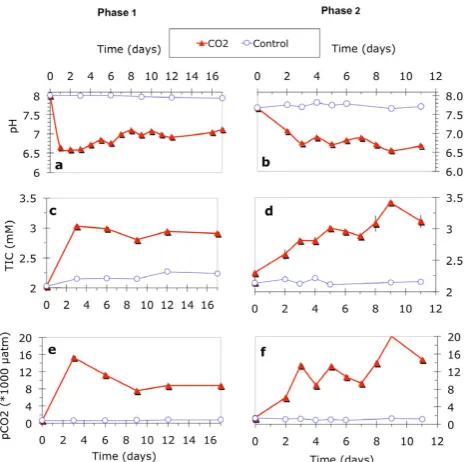 Fig. 3Phase 1100 000a100 000
