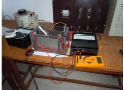 Fig. 3 .The percentage of pH changes in SS and Ti electrodes. 