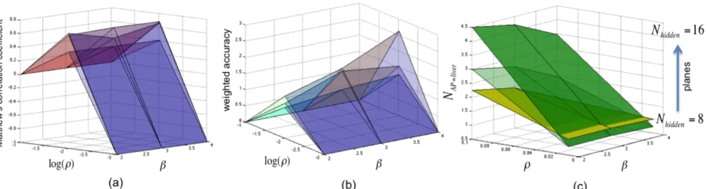 Fig. 3: Planes of Matthew’s correlation coefficient (a), weighted accuracy (b) and the number of activation patterns for detecting liver tissues (N AP=liver ) (c), for N hidden = {8, 12, 16}, which appear from the lowest to the highest.