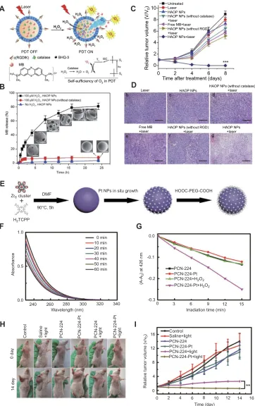 Figure 8 (photodynamic therapy against hypoxic tumor cells.treatment with PCN-224 or PCN-224-Pt in the absence and presence of HA) Schematic illustration of the mechanism of H2O2-triggered O2 generation and photosensitizer release for enhanced photodynamic