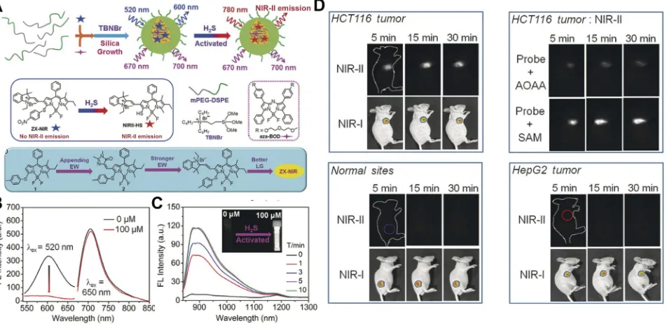 Figure 10 (of NIR-II@Si in PBS (pH 7.4) before and after addition of 100of colorectal cancers using activatable nanoprobes with second near-infrared window emission.GmbH & Co