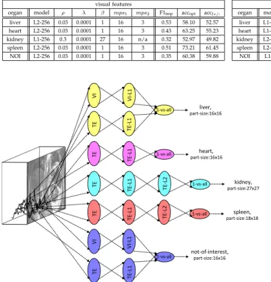 TABLE 2: Model and hyper-parameters of visual and temporal features for each organ class for the context-specific feature learning.