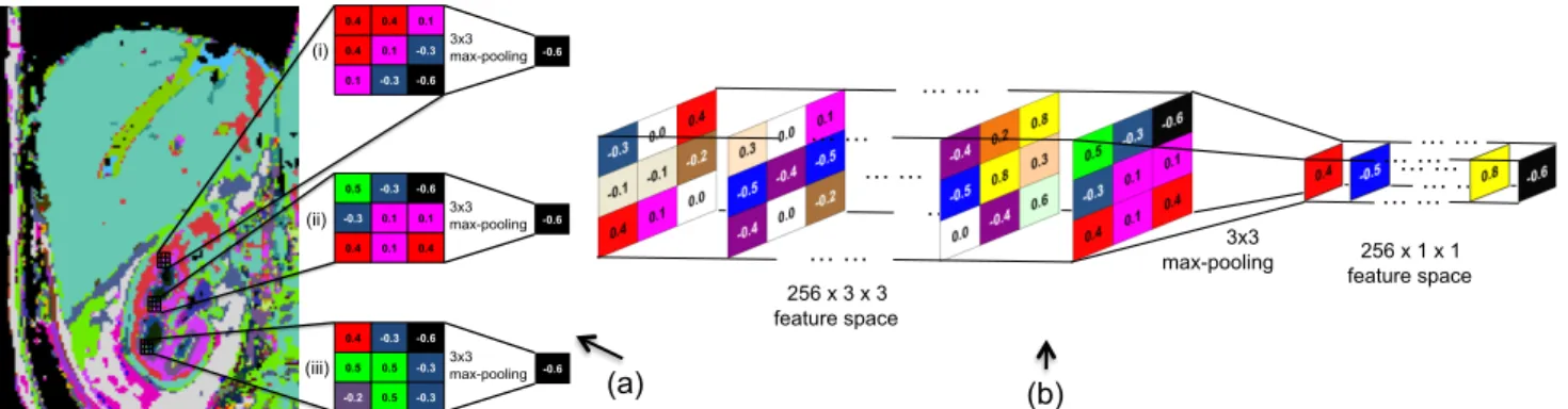 Fig. 5: (a) A conceptual visualization of max-pooling on a 2D feature space, showing how it can capture the same feature for the patches at different locations in the kidney in Figure 4 (c)