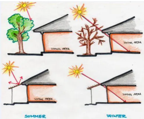 Fig -12: Shading of trees in summer and winter   