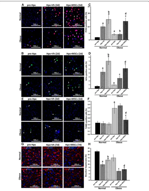 Fig. 2 (See legend on next page.)