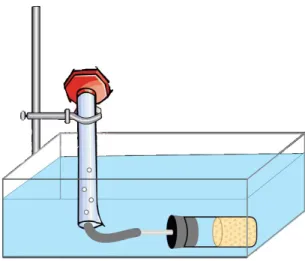 Figure 2: The General Procedure  