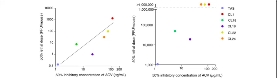 Table 2 Mutations in vTK gene, susceptibility to ACV, and virulence of HSV-1 clones