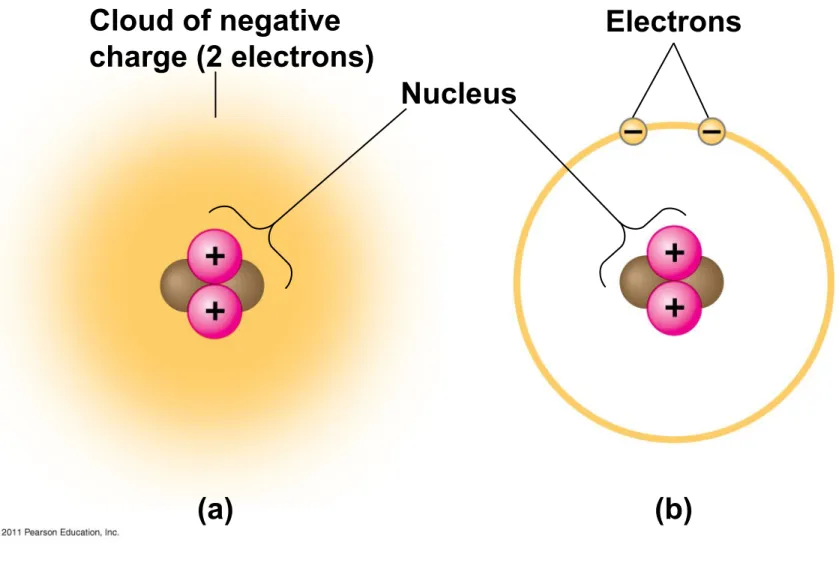 Figure 2.5 Cloud of negative charge (2 electrons) Electrons Nucleus (a) (b)