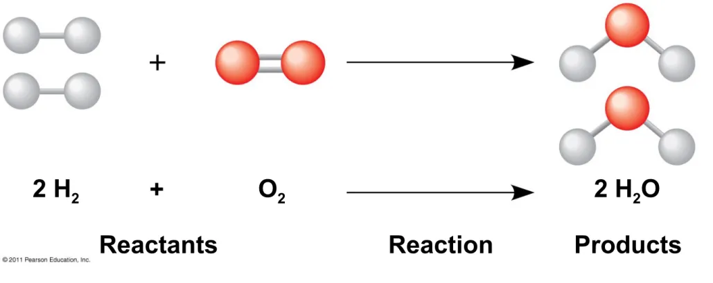 Figure 2.UN02