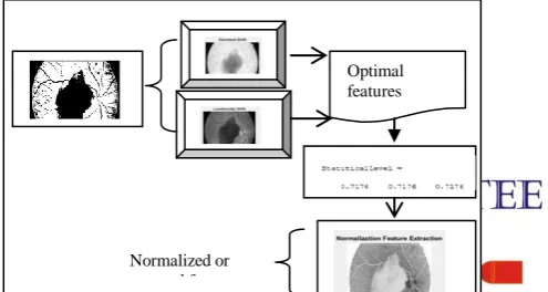 Figure 2 given below shows the block diagram of Statistical Optimized and Restoration model