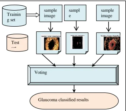 Fig. 4 Block diagram Glaucoma classified results using random forest classifier 