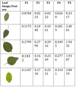 Table 1.3 : Results of  Digital Morphological Features 