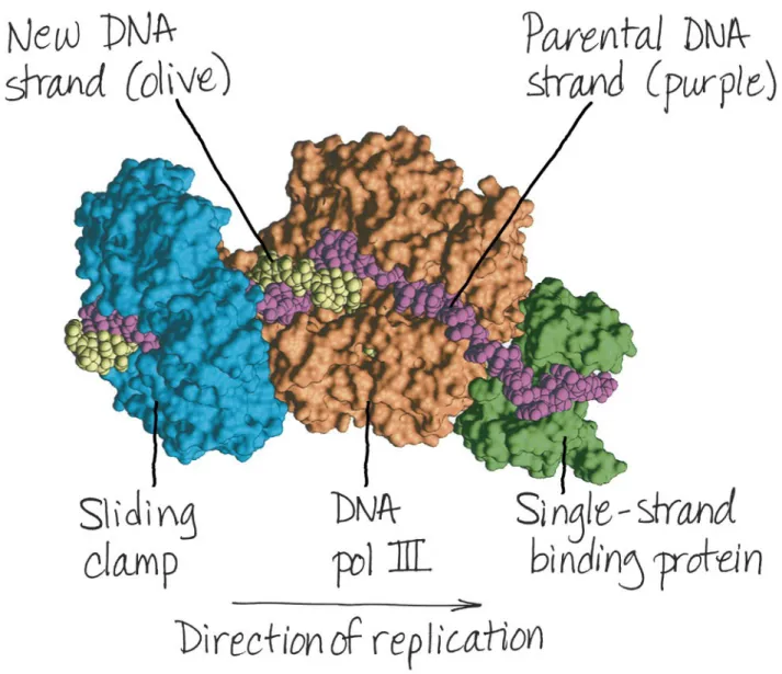 Figure 16.UN07