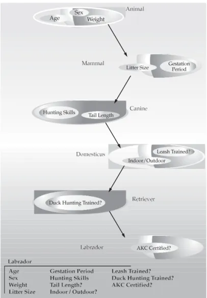 Figure 2-2    Labrador inherits the encapsulation of all its superclasses.