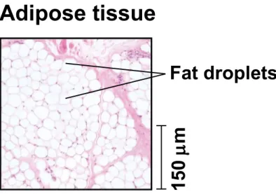 Figure 40.5be