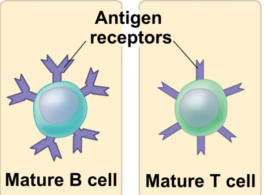 Figure 43.UN01