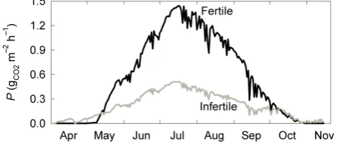 Fig. 8. Upscaled daily maximum photosynthesis rate of the mea-sured species at the infertile and fertile sites.