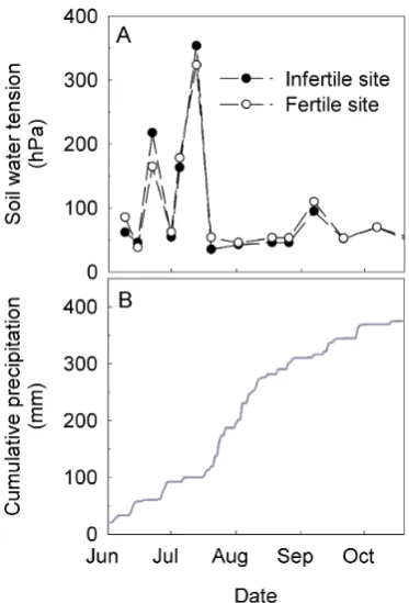 Fig. 2. Soil-water tension at both clear-cut sites (A) and cumula-tive precipitation (B) measured at the SMEAR II station above thecanopy between 1 May and 1 December 2005.