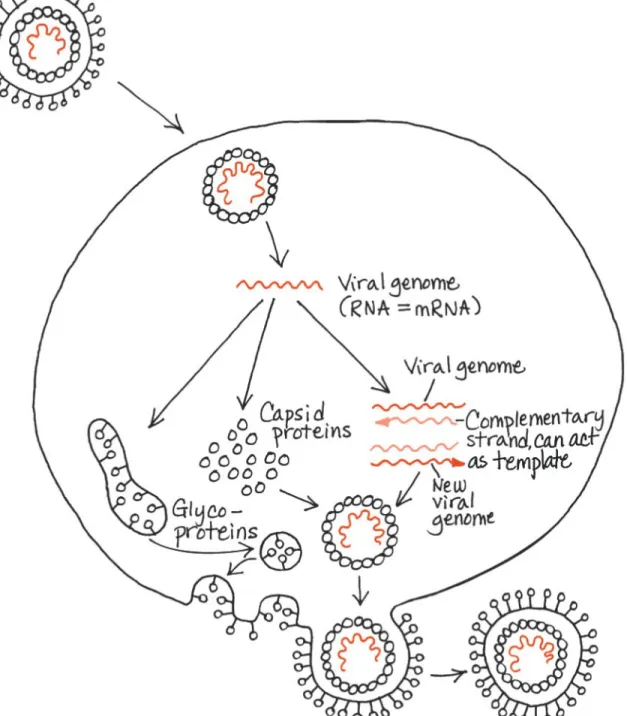 Figure 19.UN03