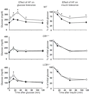 Figure 6High-fat diet–induced glucose intolerance and 