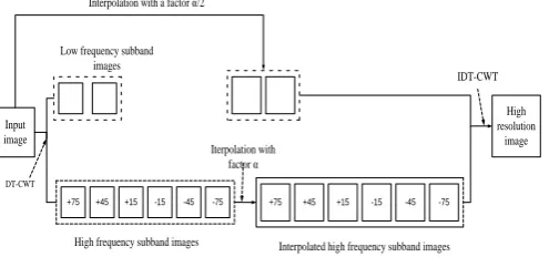 Fig.2. Block diagram of DT-CWT 