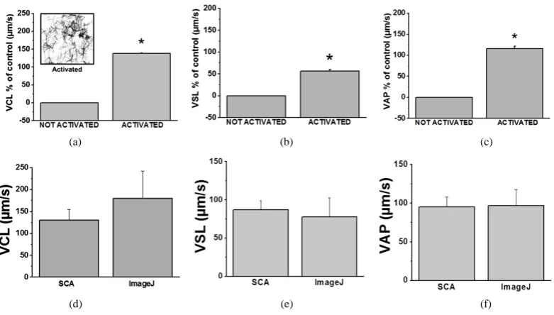 Figure 1. Parameter changes for kinetic observations. (a) Representative images for tracks observed at different frames for semen samples; (b) A bar graph of VCL values for activated semen with different frame conditions; (c) A bar graph of VSL observed wi