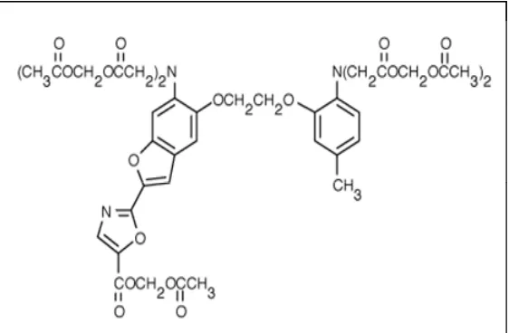 Fig. 5.1: Structure of Ca2+ 