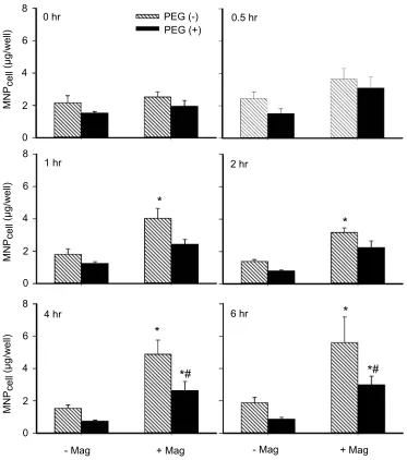 Figure 6 PEGylation attenuated MNP interaction with cultured endothelial cells. Human umbilical vein endothelial cell (HUVEC)-associated MNP was determined afterfacilitate sedimentation