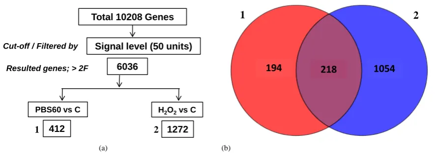 Figure 2. A schema of differentially expressed genes filtration that has >2 fold change (a) was adopted to reflect an en-hancement of gene expression