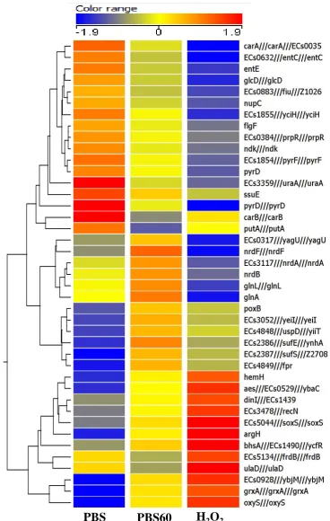 Figure 3. Hierarchical map of a comparison showing common genes that are differentially expressed in E
