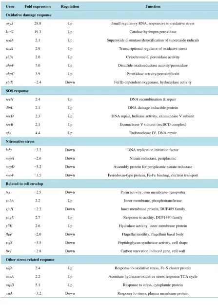 Table 1. Functional analysis and category of differentially expressed genes involved in the response to plasma-activated PBS solution
