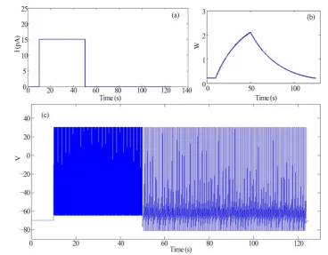 Figure 2. Simulation of persistent firing neuronal behaviors with long pulse stimulation proto-col