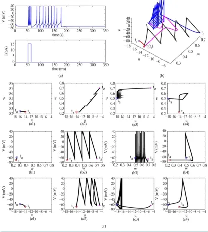 Figure 3. (a) Persistent firing induced by an input current pulse; (b) Trajectory of state variables u v w, ,   in three-dimensional phase space; (c) The three rows are projections of the 3-D trajectory