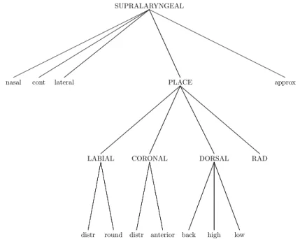Fig. 3.1. Feature geometry tree. Rules that required the special principle of s¯avarn 