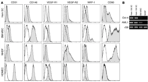 Figure 1HemSCs express VEGF-Rs and mesenchymal cell marker CD90. (A) Flow cytometric analysis of HemSCs, BM-MSCs, NHDFs, and HDMECs