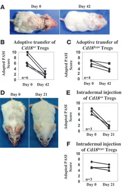 Figure 1Adoptive transfer of 